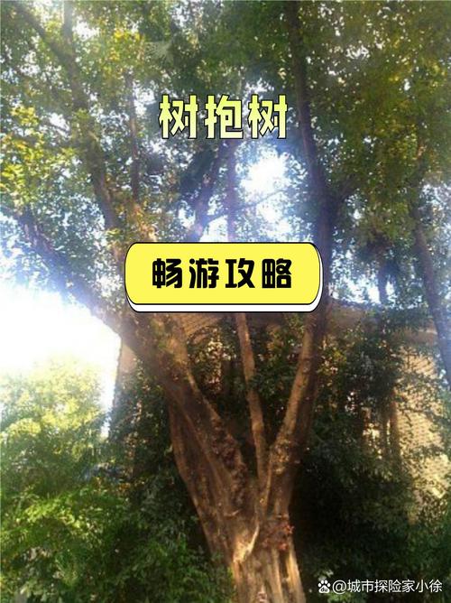 2025新澳门开奖记录和女子每月花780抱树与女子每月花780抱树放松疗愈